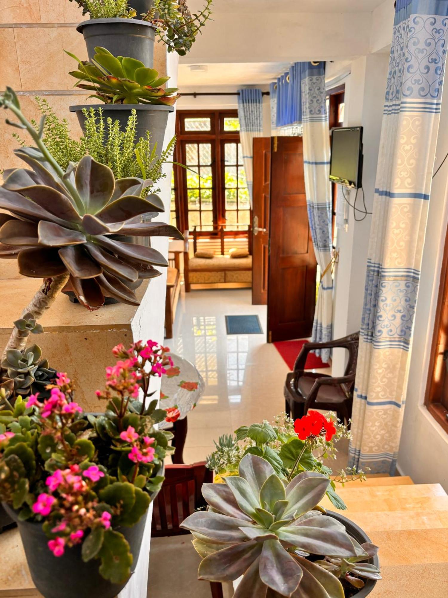 Shiny View Hotel Nuwara Eliya Exterior foto