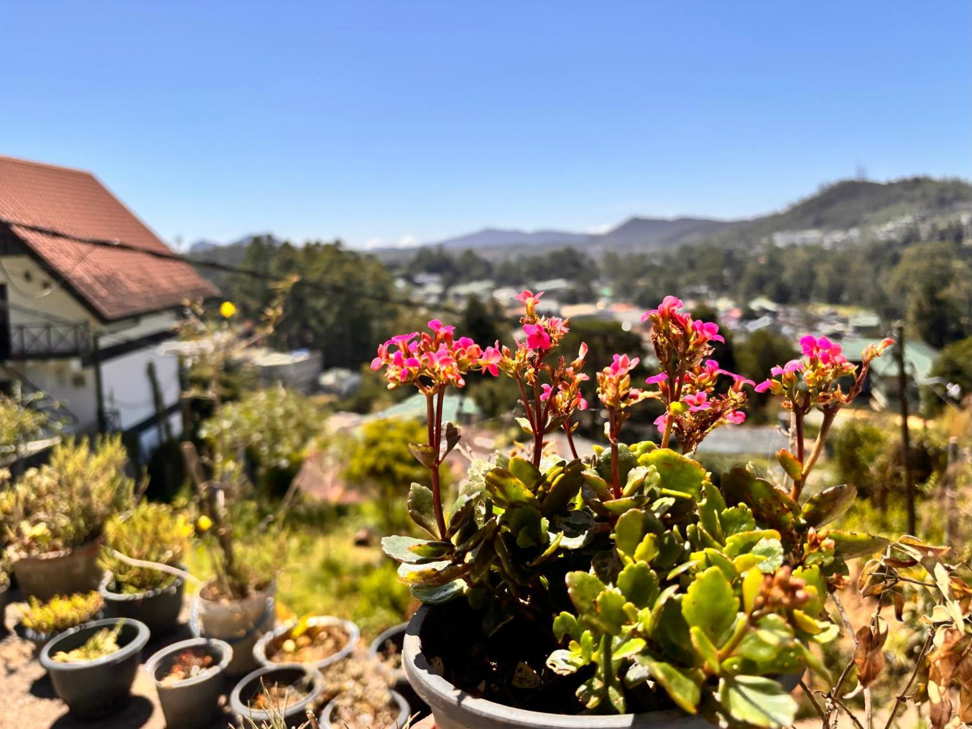Shiny View Hotel Nuwara Eliya Exterior foto
