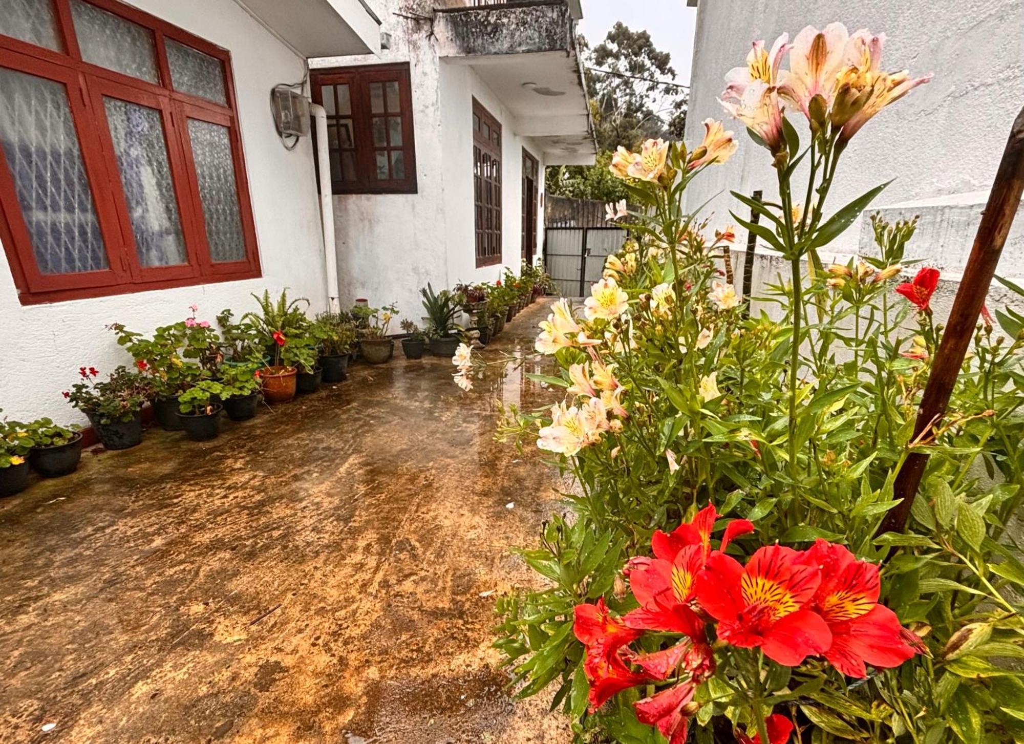 Shiny View Hotel Nuwara Eliya Exterior foto